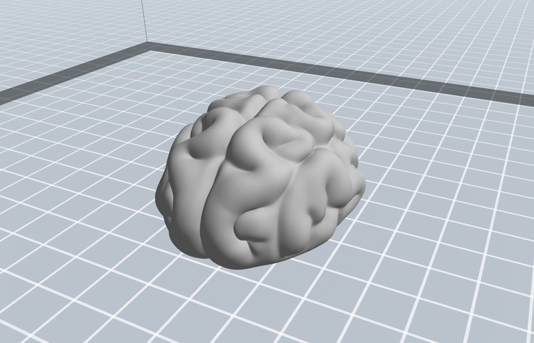 Brain 3D Print 262695