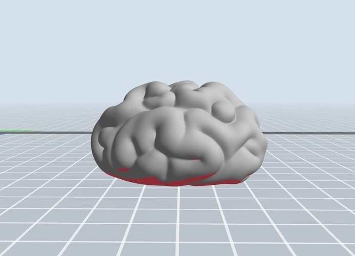 Brain 3D Print 262696