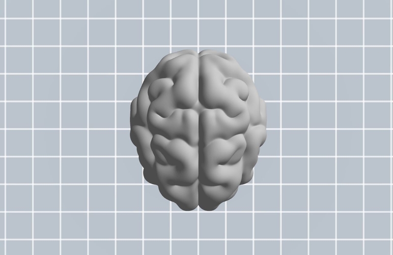 Brain 3D Print 262697