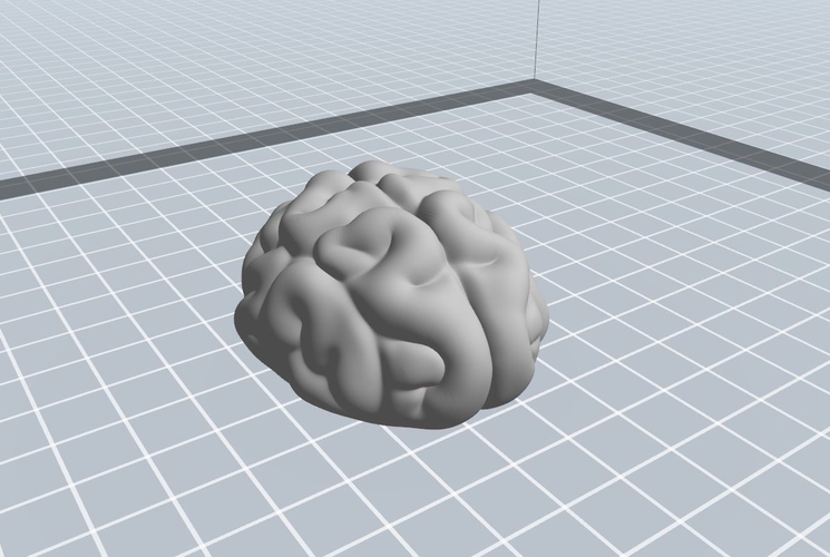 Brain 3D Print 262698