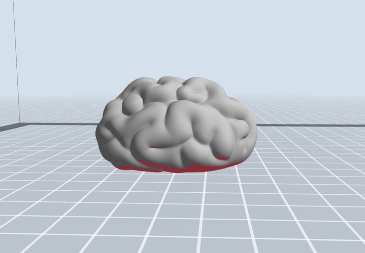 Brain 3D Print 262699