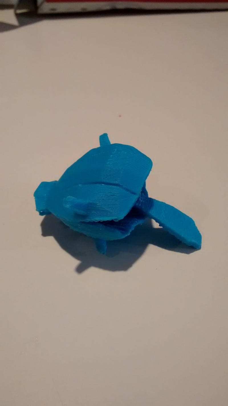 Shellder