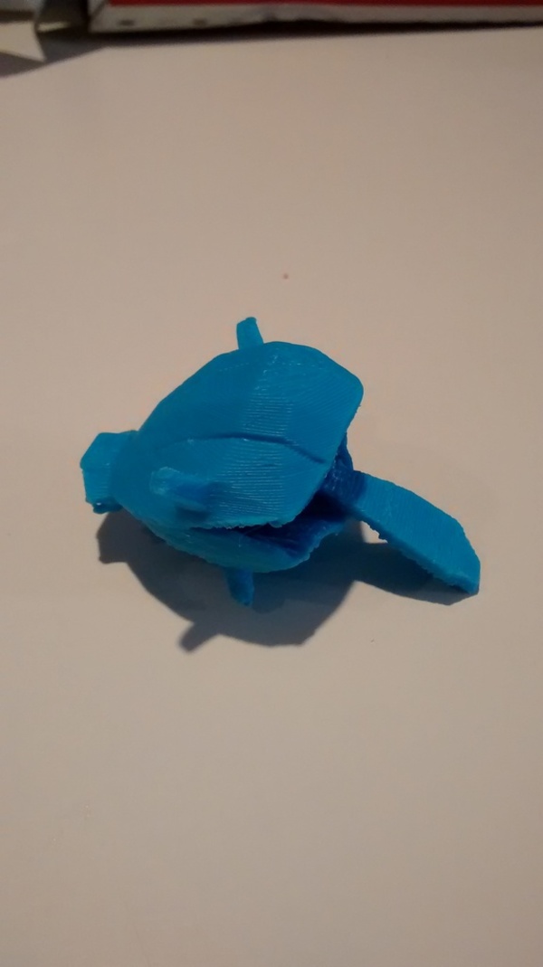 Shellder
