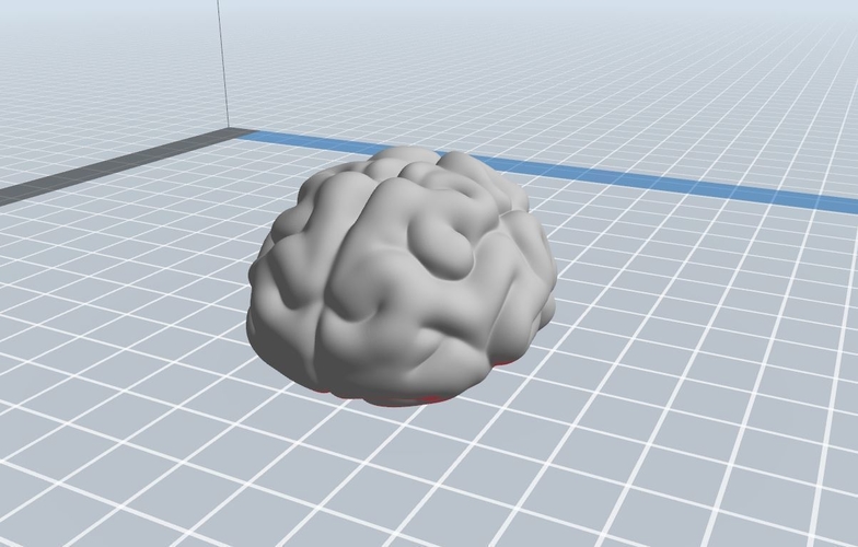 Brain 3D Print 262700