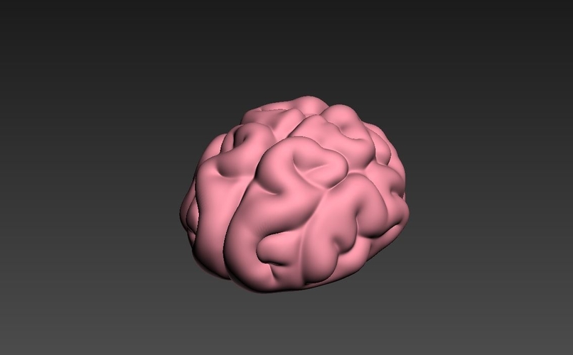 Brain 3D Print 262701