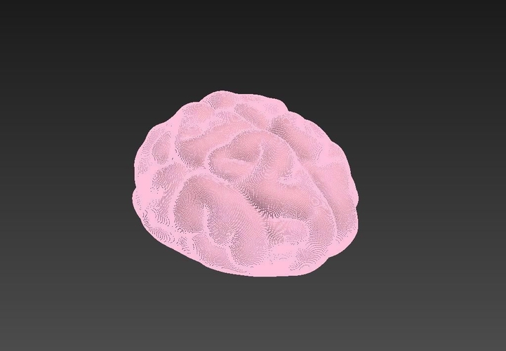 Brain 3D Print 262702