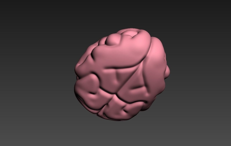 Brain 3D Print 262703