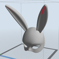 Rabbit Mask - Thumbnail 12
