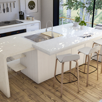 Kitchen Sink cum Pantry - Thumbnail 1