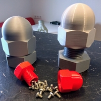 Cap Nut Container - Thumbnail 1