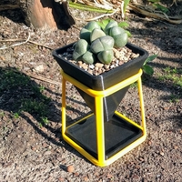 Fancy Flower Pot - Thumbnail 2