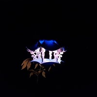 Air Temple Bird House - Thumbnail 13