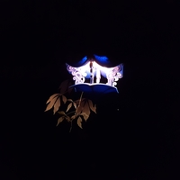 Air Temple Bird House - Thumbnail 14