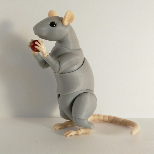 Rat BJD