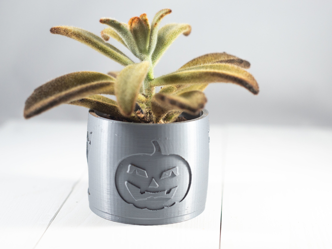 2019 Halloween Succulent Planter 3D Print 263690