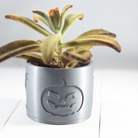 2019 Halloween Succulent Planter - Thumbnail 4