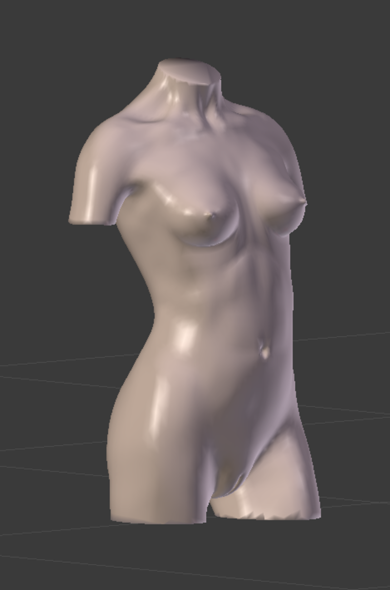 Nicky Nude Torso