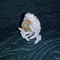 The Articulated Predominant Isopod - Thumbnail 5