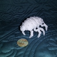 The Articulated Predominant Isopod - Thumbnail 6