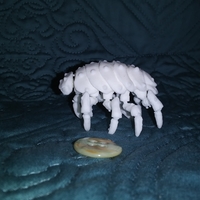 Small The Articulated Predominant Isopod 3D Printing 263866