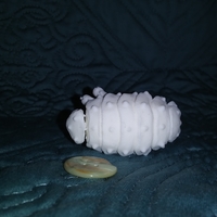 The Articulated Predominant Isopod - Thumbnail 8
