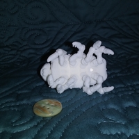 The Articulated Predominant Isopod - Thumbnail 10