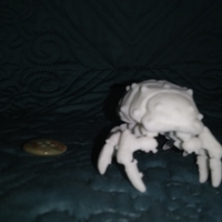 The Articulated Predominant Isopod - Thumbnail 12