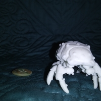 The Articulated Predominant Isopod - Thumbnail 13