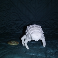 The Articulated Predominant Isopod - Thumbnail 14