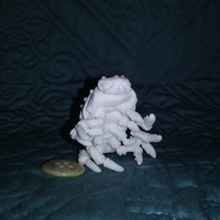 The Articulated Predominant Isopod - Thumbnail 17