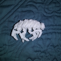 The Articulated Predominant Isopod - Thumbnail 20