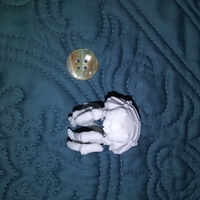 The Articulated Predominant Isopod - Thumbnail 22