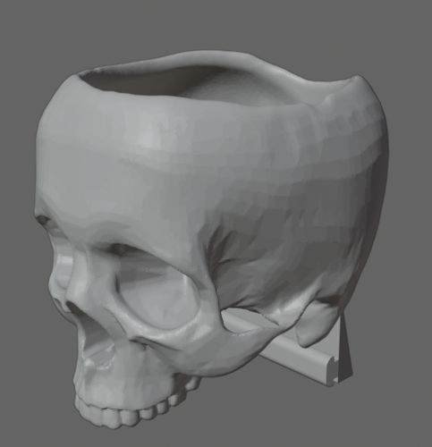 Ender 3 Skull Storage Bowl 3D Print 264041