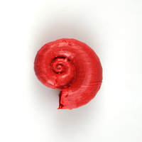 Small Shell pendant 3D Printing 26410