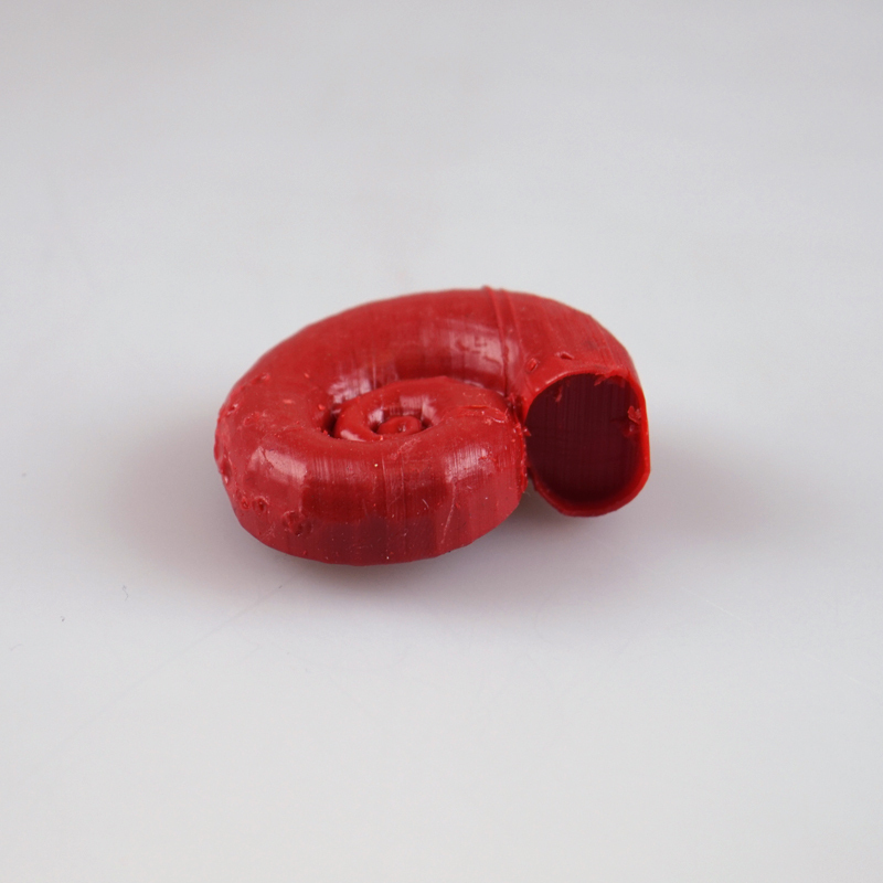 Shell pendant - Pinshape