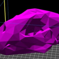 Leopard Skull Low Poly - Thumbnail 2