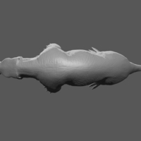 Inostrancevia model - Thumbnail 2