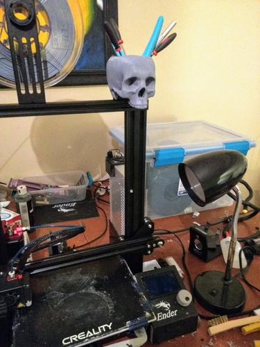 Ender 3 Skull Storage Bowl 3D Print 264585