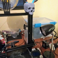 Small Ender 3 Skull Storage Bowl 3D Printing 264585