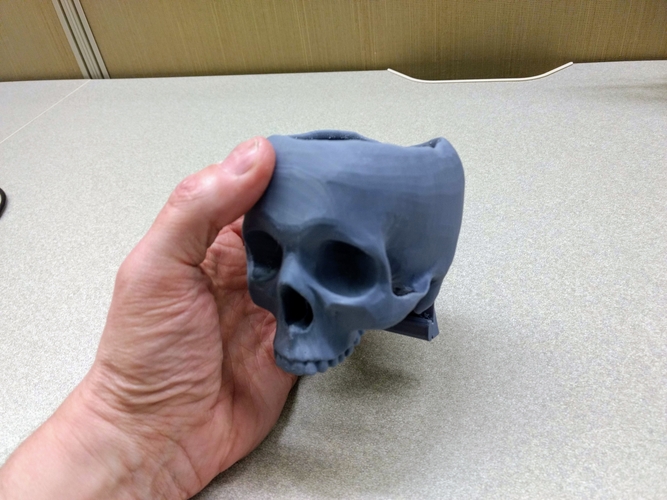 Ender 3 Skull Storage Bowl 3D Print 264586