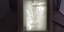 Image 264724