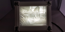 Image 264725