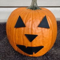 MR. PUMPKIN HEAD/HALLOWEEN JACK O LANTERN FACE - Thumbnail 2