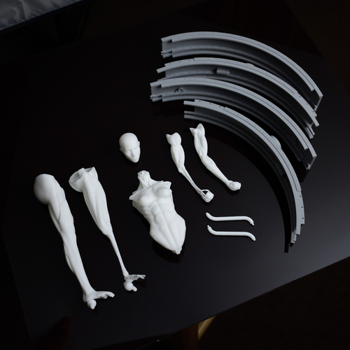 Vitruvian Host 3D Print 264816
