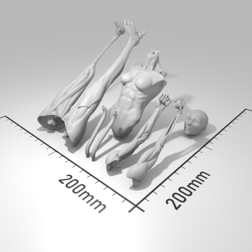 Vitruvian Host 3D Print 264818