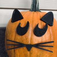 Mr. Pumpkin Head/Halloween Cat Pumpkin Face/Kids Halloween Craft - Thumbnail 4