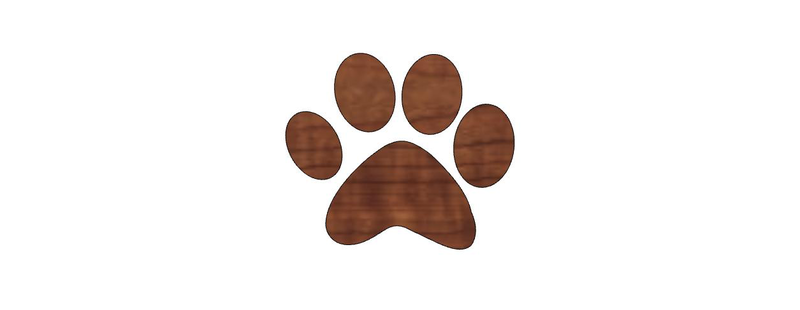 Pumpkin Paw Print/Halloween Decorations/Paw Design/ Animal Lover