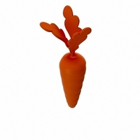Carrot - Thumbnail 4