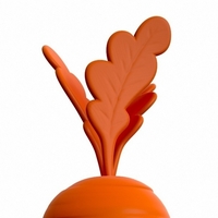 Carrot - Thumbnail 5