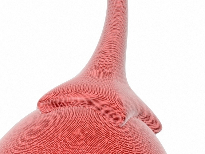 Chili Pepper 3D Print 265097